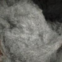 灰色大化开松棉，可以纺纱 ，货在浙江湖州用的上的联系我