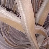 有纱布布条，工业用，可以做绳子，也可以2次加工，低价处理