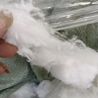 出售7D棉被子棉，货在福建泉州，一吨3800，现货有十吨