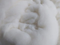 2022年長絨棉種植面積增加